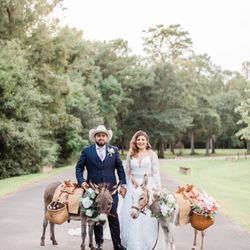 Blue Iris Florist