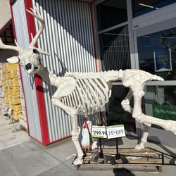 Tractor Supply - Wow huge buck skeleton for your lawn or living room!? He is quite a conversation piece!