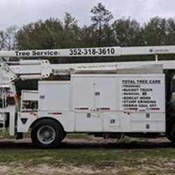 Duron Williamson's Tree Service