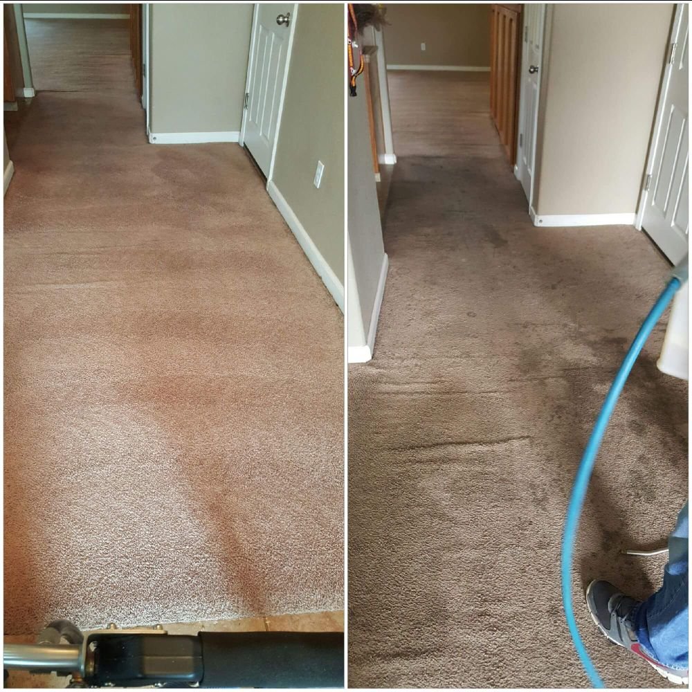 PEDRO AND BERTHA CARPET CLEANING Request a Quote 21 Photos Carpet