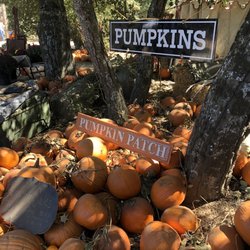 Julian Farm and Orchard - Checking out with our pumpkins! Great value.