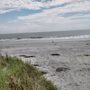 Photo of Sapelo Island Historical Reserve