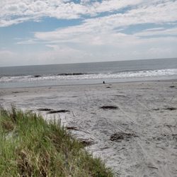 Sapelo Island Historical Reserve - Nanny Goat Beach, Sapelo Island GA