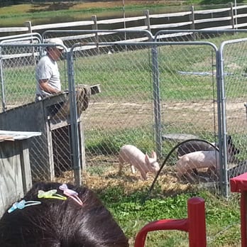 Giamarese Farm - Pigs - Farmers Market Near Me - East Brunswick, New Jersey Giamarese Farm - Pigs - Farmers Market Near Me - East Brunswick, New Jersey