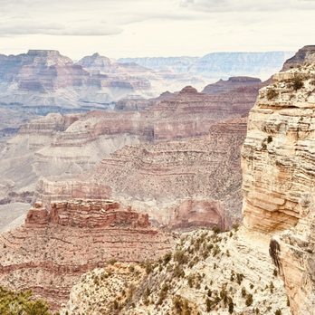 El Tovar Dining Room - Stunning views! - American Near Me - Grand Canyon, Arizona