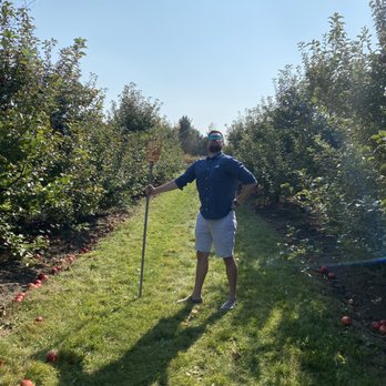 All Seasons Orchard - Lol - Pumpkin Patches Near Me - Woodstock, Illinois All Seasons Orchard - Lol - Pumpkin Patches Near Me - Woodstock, Illinois