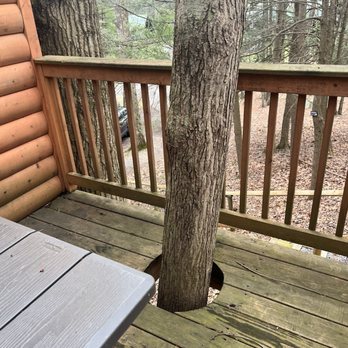 Cabins at Pine Haven - "Tree" House! - Vacation Rentals Near Me - Beaver, West Virginia Cabins at Pine Haven - "Tree" House! - Vacation Rentals Near Me - Beaver, West Virginia