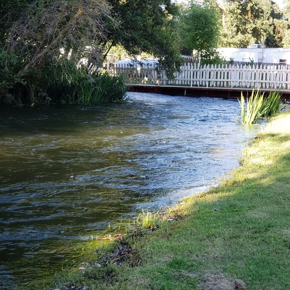 Riverbend RV Park - River on our campsite! - RV Parks Near Me - Sanger, California Riverbend RV Park - River on our campsite! - RV Parks Near Me - Sanger, California