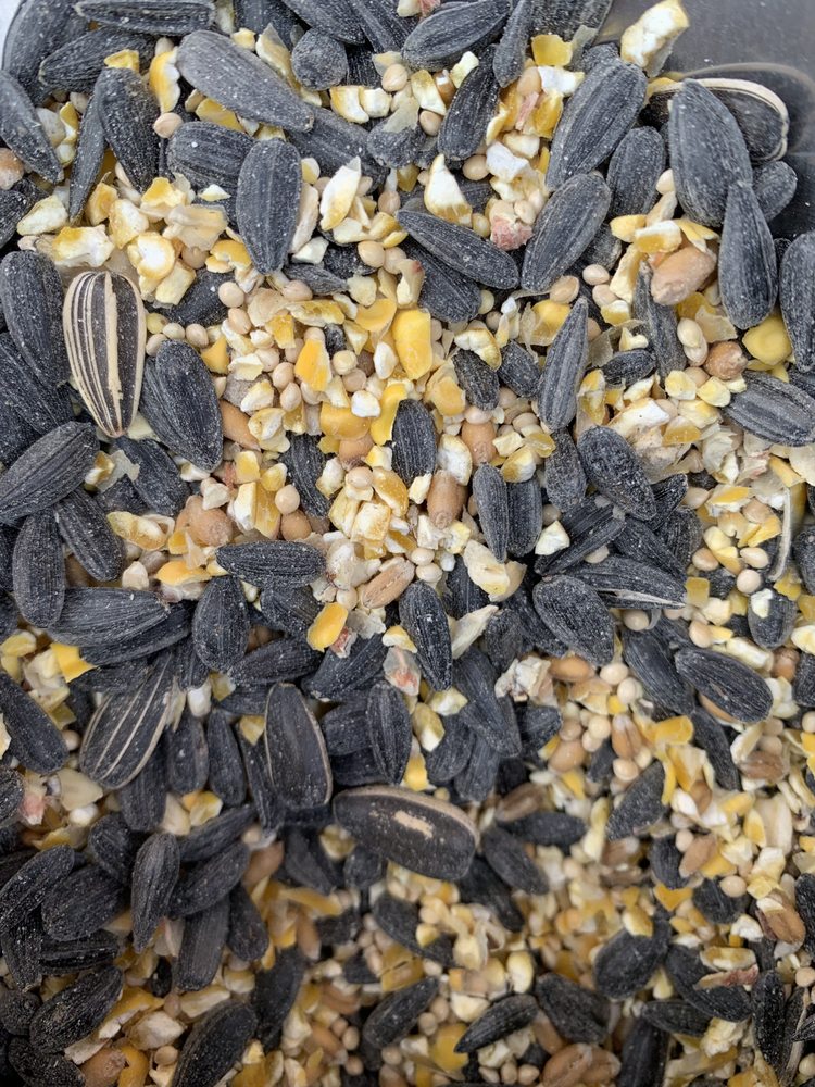 WINONA FEED, SEED & MORE Updated October 2024 155 Grand St, Winona