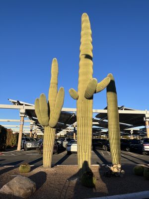 Tucson International Airport by null