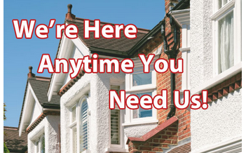 Slide of Rhino Rooter