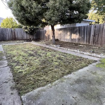 Kevin's Gardening Service - Back yard cleaning, side and front yard. - Landscaping Near Me Kevin's Gardening Service - Back yard cleaning, side and front yard. - Landscaping Near Me