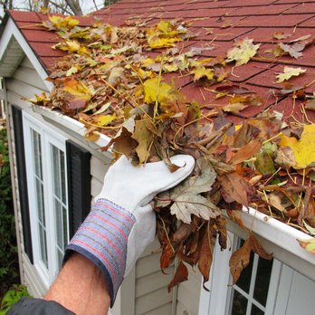 Beckner Maintenance - GUTTER CLEANING
EXPERTS! - Window Washing Near Me Beckner Maintenance - GUTTER CLEANING
EXPERTS! - Window Washing Near Me