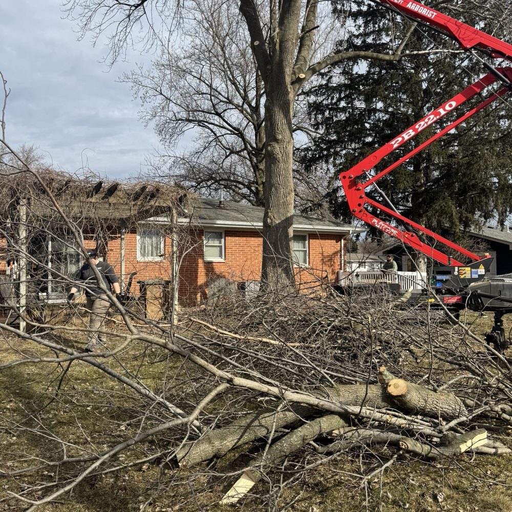 Evans Tree Care - Tree Services Near Me Evans Tree Care - Tree Services Near Me