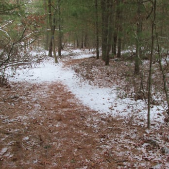 RichardTrails - Not a lot of trails - Hiking Near Me - Charlestown, Rhode Island
