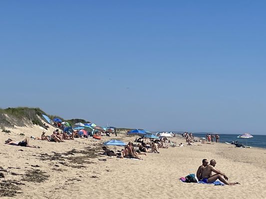 Herring Cove Beach by null