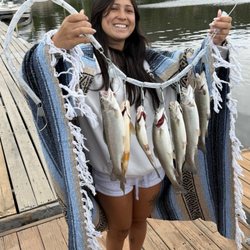 Lucky Bear Fishing Charters