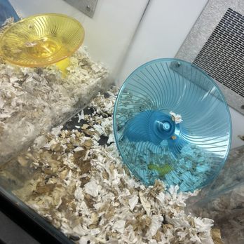 Petco - Pet Stores Near Me - San Diego, California Petco - Pet Stores Near Me - San Diego, California
