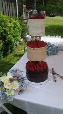 The Alternative Baker by null