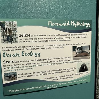 Mermaid Museum - Displays - Museums Near Me - Aberdeen, Washington Mermaid Museum - Displays - Museums Near Me - Aberdeen, Washington