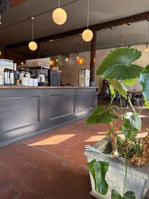 Mojo Coffee House by null