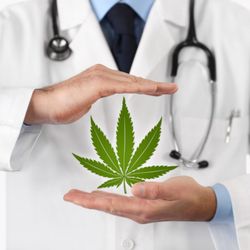 Fells Point Cannabis Docs