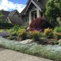 Photo of Organic Matters Landscaping