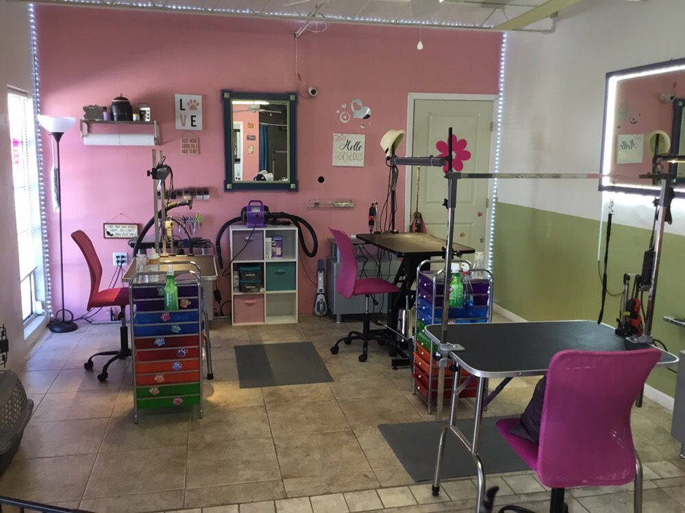 HAPPY HOUNDS GROOMING SALON Updated September 2024 917 SE 15 Th Ave