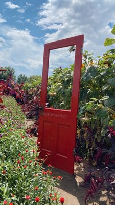 Garden Sweet by null