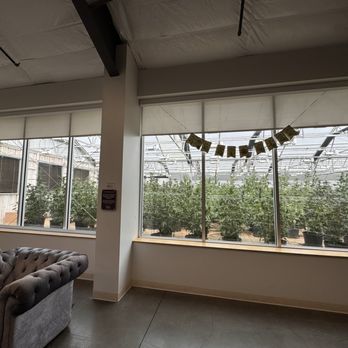 SoL Cannabis - Lobby area - Cannabis Dispensaries Near Me - New Washoe City, Nevada SoL Cannabis - Lobby area - Cannabis Dispensaries Near Me - New Washoe City, Nevada
