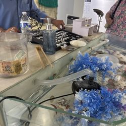 The Velvet Box - Oyster presentation.