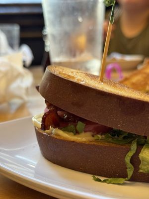 Ruby Slipper by null