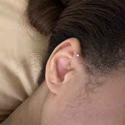 Forward Helix Piercing Forward Helix Piercing