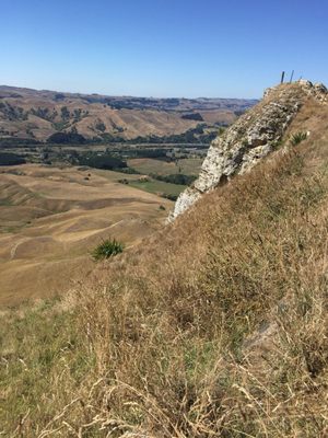 Te Mata Peak by null