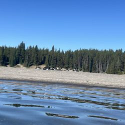 Geyser Kayak Tours