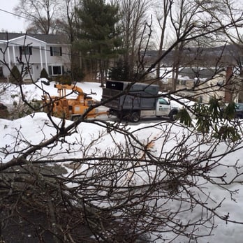 Big Foot Tree Service - Tree Services Near Me - Wayne, New Jersey