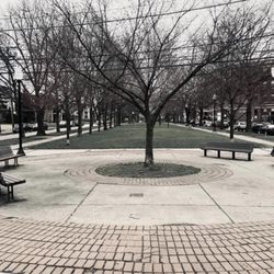 Friendship Park