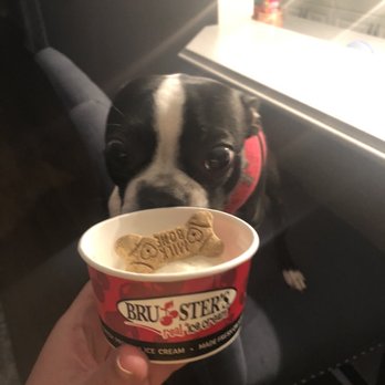 Bruster's Real Ice Cream - Pup cup - Ice Cream & Frozen Yogurt Near Me - Brentwood, Tennessee Bruster's Real Ice Cream - Pup cup - Ice Cream & Frozen Yogurt Near Me - Brentwood, Tennessee