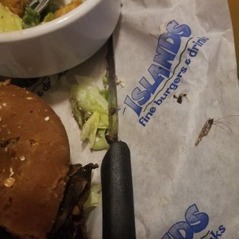 Islands Restaurant - Look at the cockroach after eating the burger, I was about to chew it all/ chewed half. Disgustinggggggg :( - Burgers Near Me - Glendale, California Islands Restaurant - Look at the cockroach after eating the burger, I was about to chew it all/ chewed half. Disgustinggggggg :( - Burgers Near Me - Glendale, California