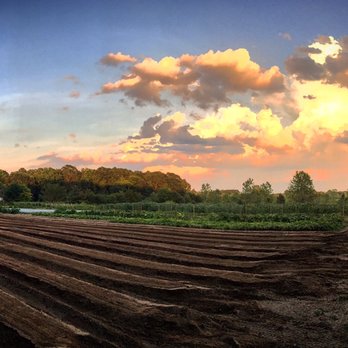 Bountiful Harvest Farms - Beds prepped for planting. - CSA Near Me - Starkville, Mississippi Bountiful Harvest Farms - Beds prepped for planting. - CSA Near Me - Starkville, Mississippi