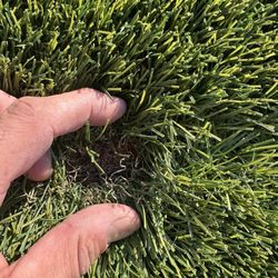 TurfHub | Synthetic Grass Supplier - Very large seam. Turf Hub did not honor the warranty and has very bad customer service. Avoid this company at all costs.