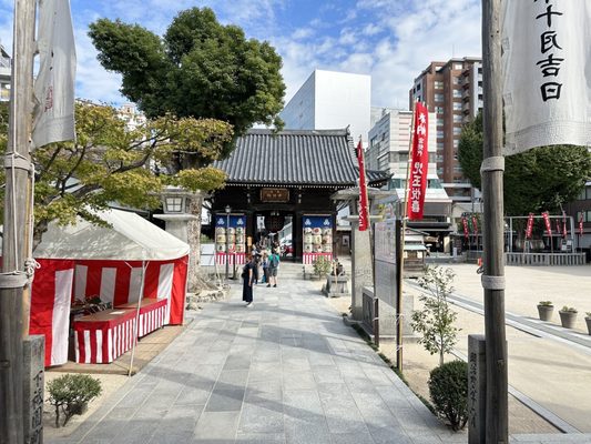 Kushida Shrine by null