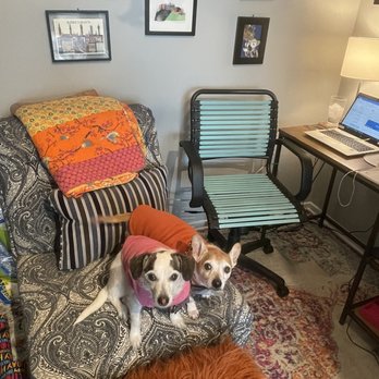 Metropolitan Veterinary Center - Happy customers. - Veterinarians Near Me - Chicago, Illinois