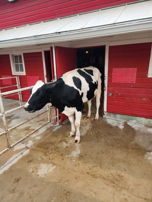 Purina Farms by null