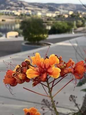 Cornerstone Park by null