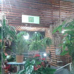 Mercado das Flores Avanhandava - Mercado das Flores Avanhandava