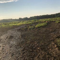 Mentor Marsh Nature Preserve - Marsh