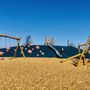 Photo of Elyson Commons at Bear Creek