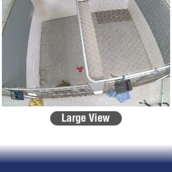 All Star Pet Resort - My dog in pen #25 with no cot or blanket - Dog Parks Near Me - Egg Harbor City, New Jersey