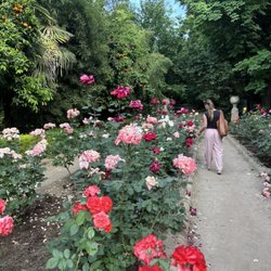 Carmen de los Mártires - Garden